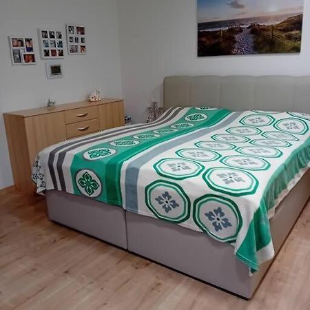 Ferienwohnung Im Luftkurort グラッサウ エクステリア 写真