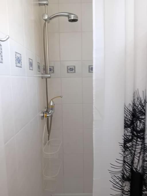 Ferienwohnung Im Luftkurort グラッサウ エクステリア 写真