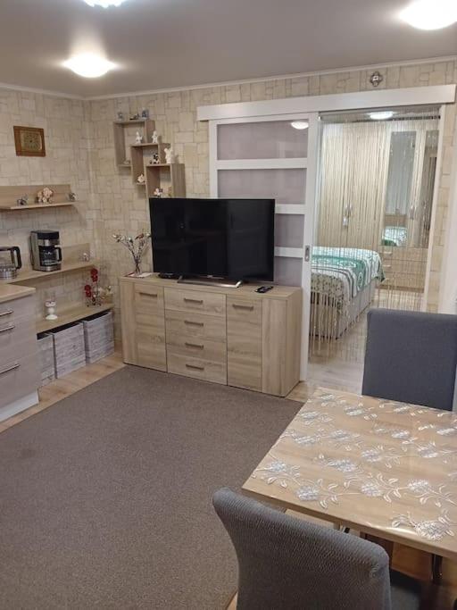 Ferienwohnung Im Luftkurort グラッサウ エクステリア 写真