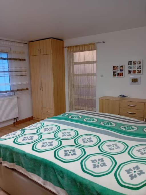 Ferienwohnung Im Luftkurort グラッサウ エクステリア 写真