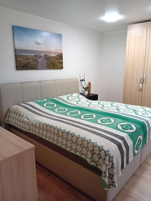 Ferienwohnung Im Luftkurort グラッサウ エクステリア 写真