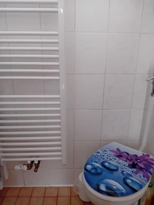 Ferienwohnung Im Luftkurort グラッサウ エクステリア 写真